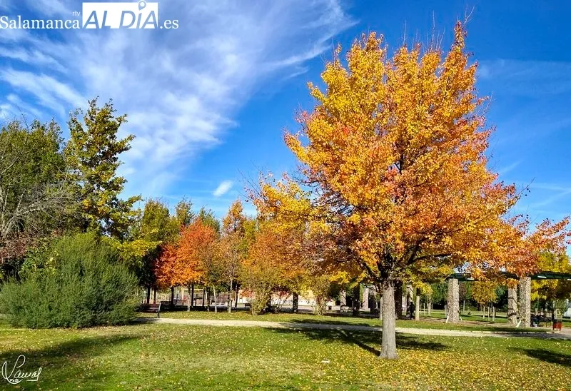 Parque Botánico de Huerta Otea. Foto de Manuel Lamas