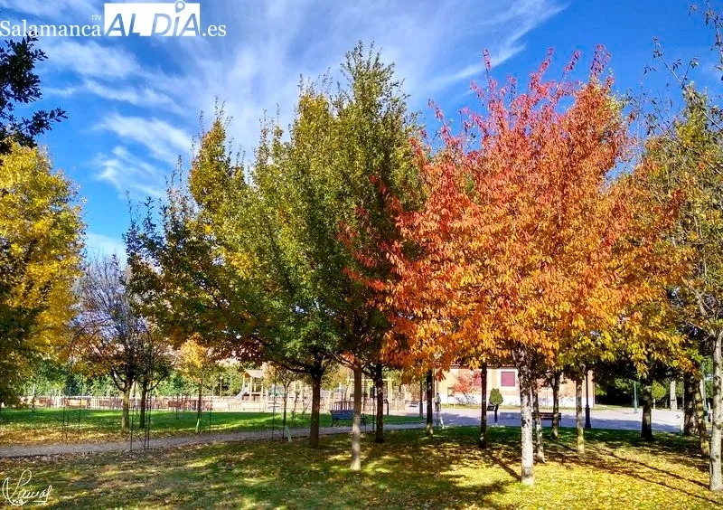Parque Botánico de Huerta Otea. Foto de Manuel Lamas