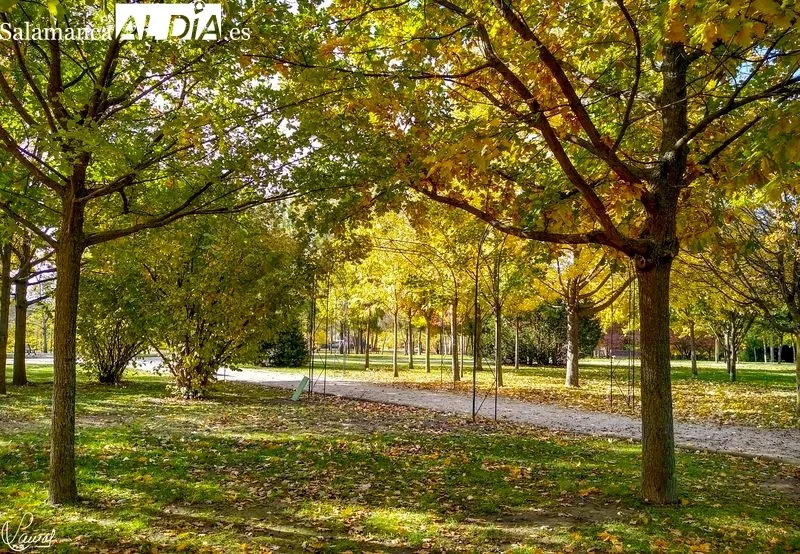 Parque Botánico de Huerta Otea. Foto de Manuel Lamas