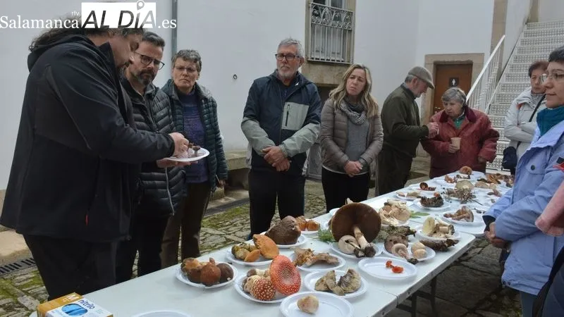 La Quedada Micológica incluyó la salida al campo y la exposición de las setas recogidas