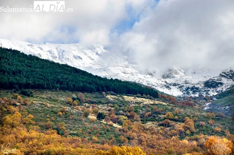 Sierra de Béjar. Manuel Lamas