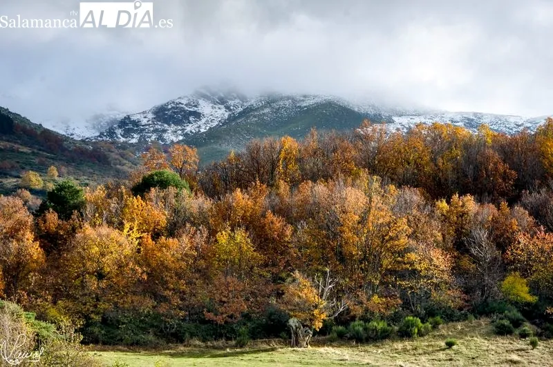 Sierra de Béjar. Manuel Lamas