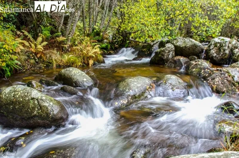 Sierra de Béjar. Manuel Lamas