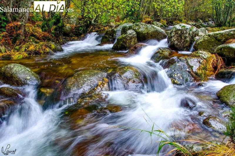 Sierra de Béjar. Manuel Lamas