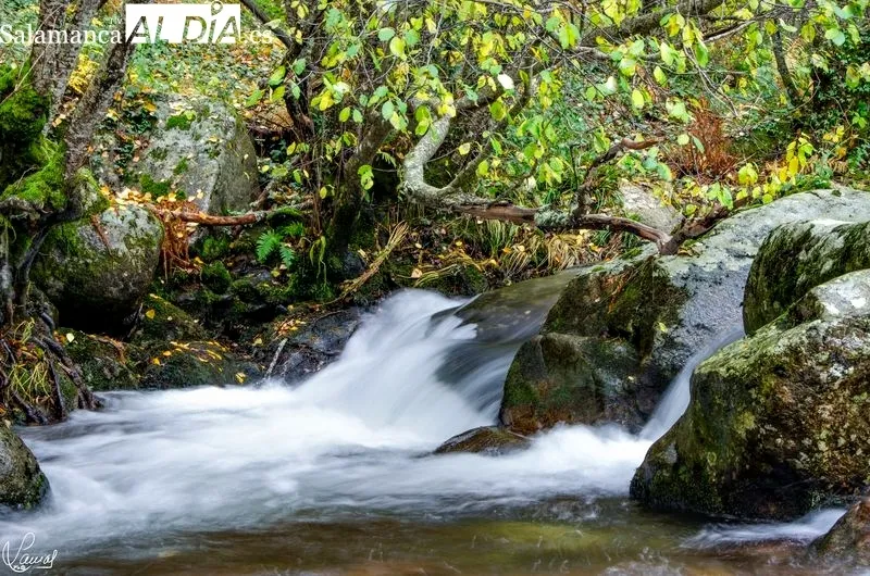 Sierra de Béjar. Manuel Lamas