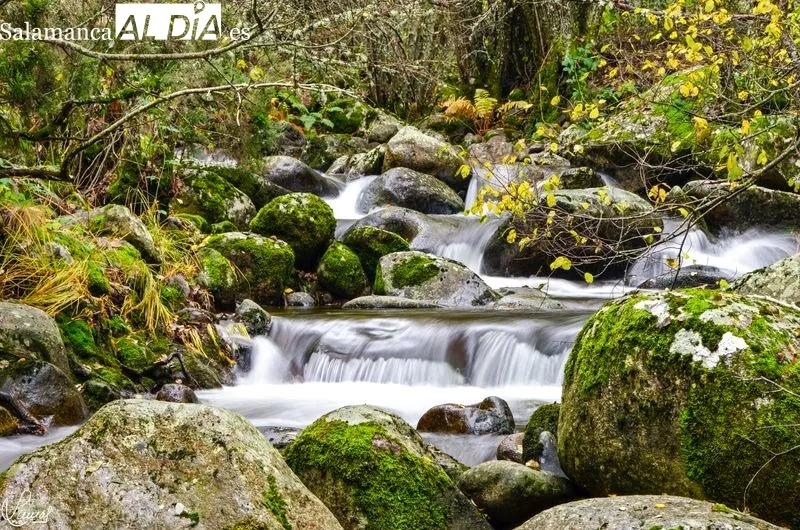 Sierra de Béjar. Manuel Lamas