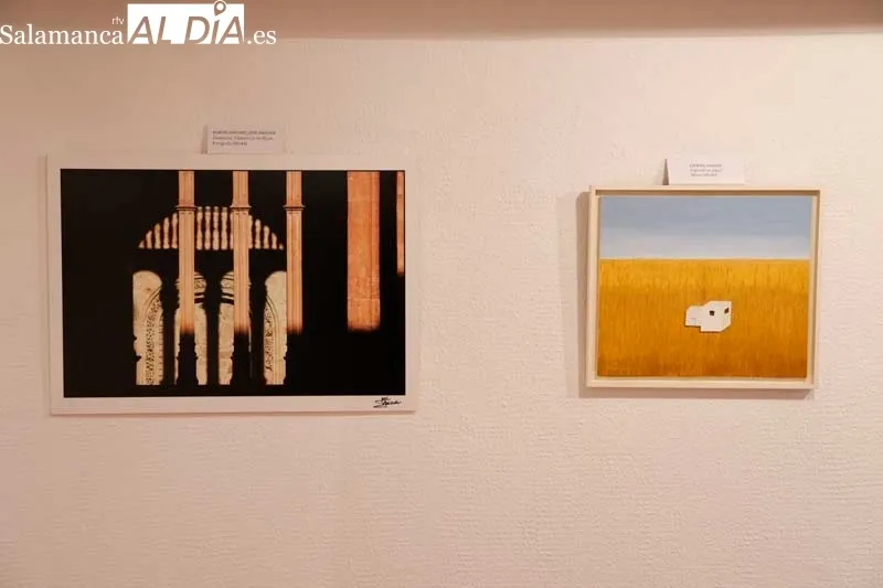 Una Exposición de Artistas Salmantinos a favor de Manos Unidas | FOTOS: David Sañudo 
