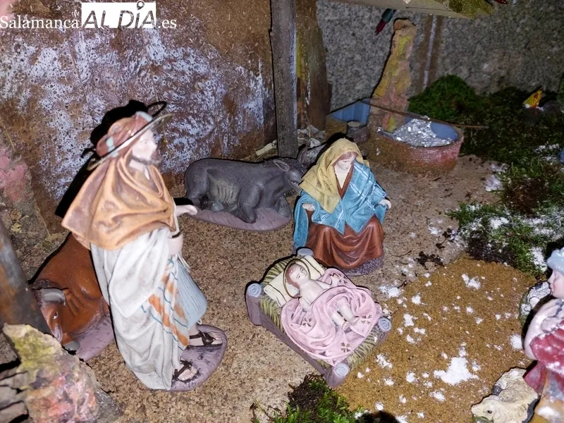 Belenes y árbol de Navidad de los que disfrutan ya los vecinos de Bogajo / FOTOS: DANIEL ROMÁN CASADO 