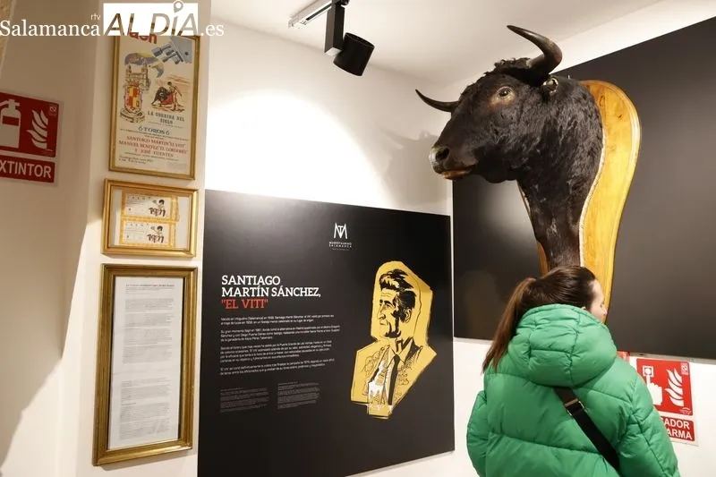 Jornada de puertas abiertas en el Museo Taurino de Salamanca. Fotos: David Sañudo
