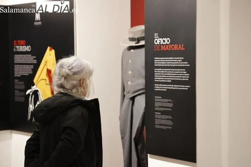 Jornada de puertas abiertas en el Museo Taurino de Salamanca. Fotos: David Sañudo