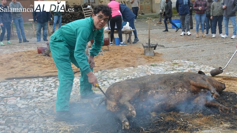 Foto 3 - La XXII Matanza Típica del Cerdo de Hinojosa de Duero congrega a niños y mayores