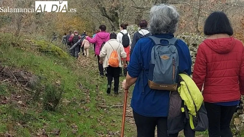 Foto 4 - El club 'Abadengo en marcha' camina en solidaridad con el Banco de Alimentos de Salamanca