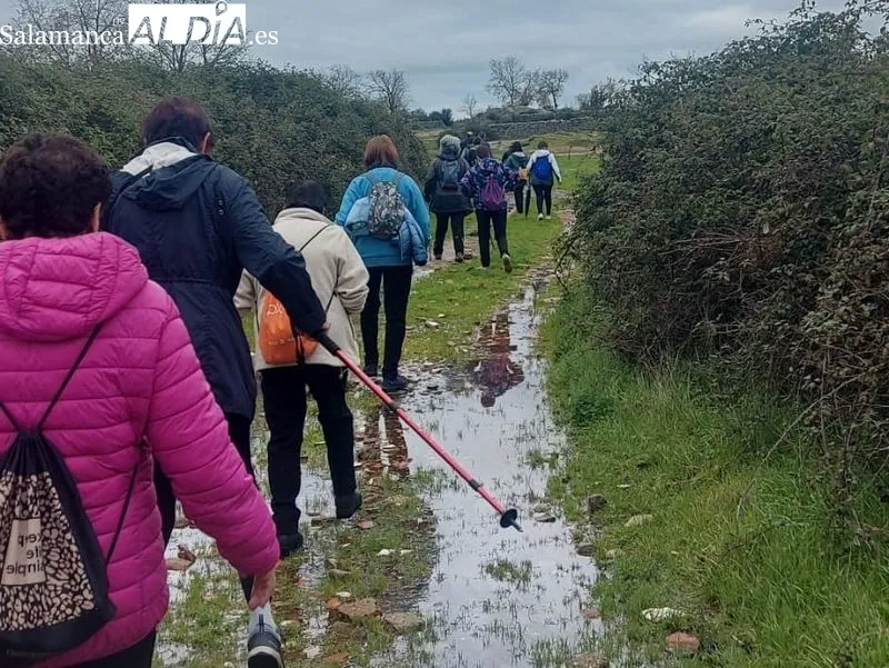 Foto 3 - El club 'Abadengo en marcha' camina en solidaridad con el Banco de Alimentos de Salamanca