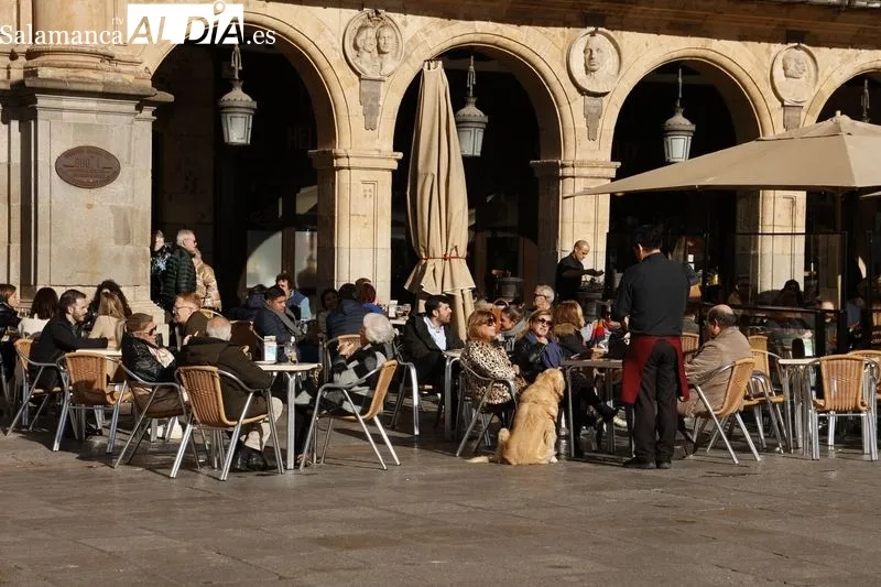 Imágenes de salmantinos y turistas paseando por el centro de la ciudad. Fotos: David Sañudo.