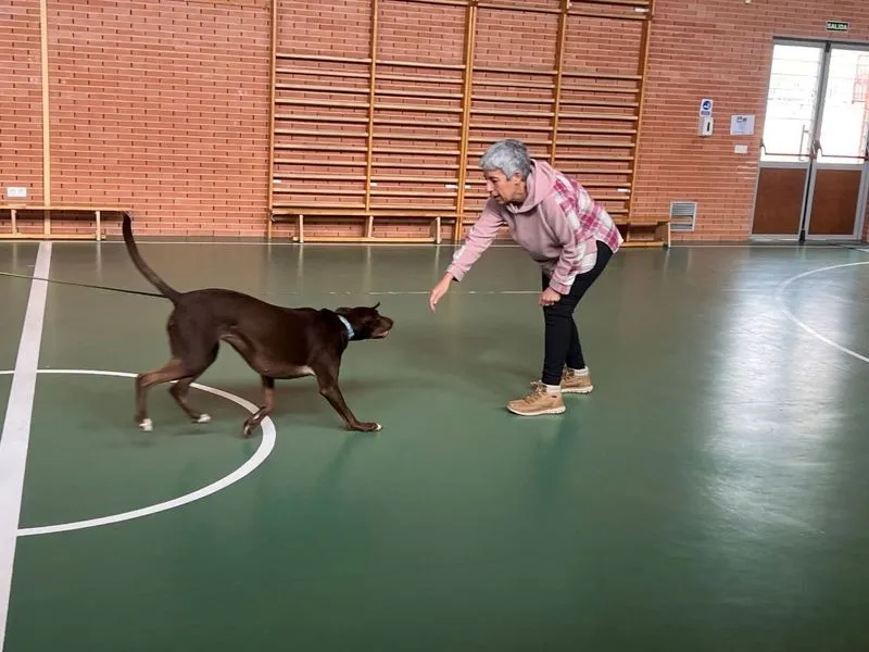 Foto 4 - Nueva sesi&oacute;n de los Talleres B&aacute;sicos de Adiestramiento Canino en Carbajosa