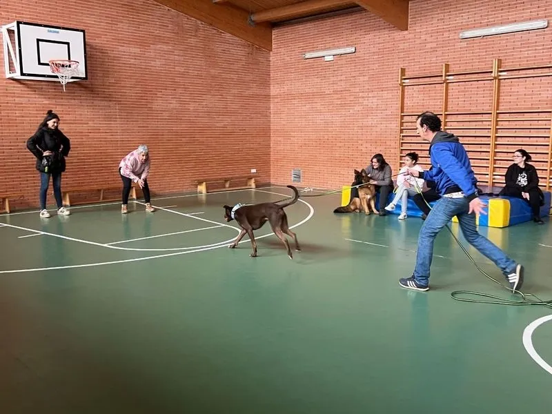 Foto 3 - Nueva sesi&oacute;n de los Talleres B&aacute;sicos de Adiestramiento Canino en Carbajosa