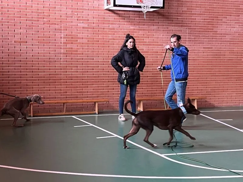 Foto 2 - Nueva sesi&oacute;n de los Talleres B&aacute;sicos de Adiestramiento Canino en Carbajosa