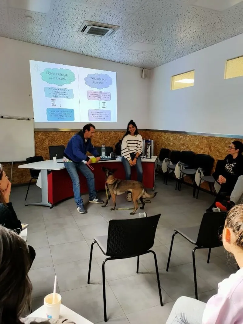 Foto 11 - Nueva sesi&oacute;n de los Talleres B&aacute;sicos de Adiestramiento Canino en Carbajosa