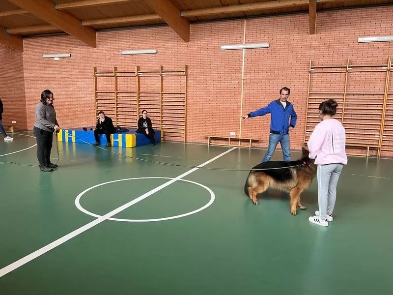 Foto 9 - Nueva sesi&oacute;n de los Talleres B&aacute;sicos de Adiestramiento Canino en Carbajosa