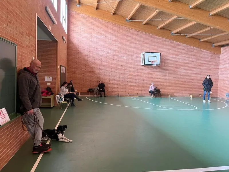 Foto 8 - Nueva sesi&oacute;n de los Talleres B&aacute;sicos de Adiestramiento Canino en Carbajosa