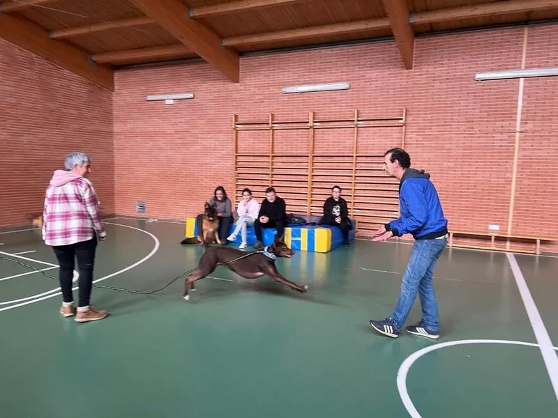 Foto 5 - Nueva sesi&oacute;n de los Talleres B&aacute;sicos de Adiestramiento Canino en Carbajosa