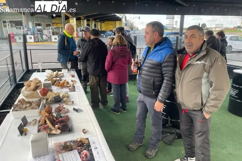 Los Álamos acogía la exhibición de las setas recolectadas en la IV Quedada Micológica Tierra de Peñaranda