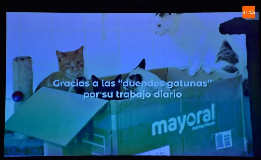 Foto 3 - El Teatro Nuevo se llena de m&uacute;sica y baile a favor de los gatos callejeros de Ciudad Rodrigo