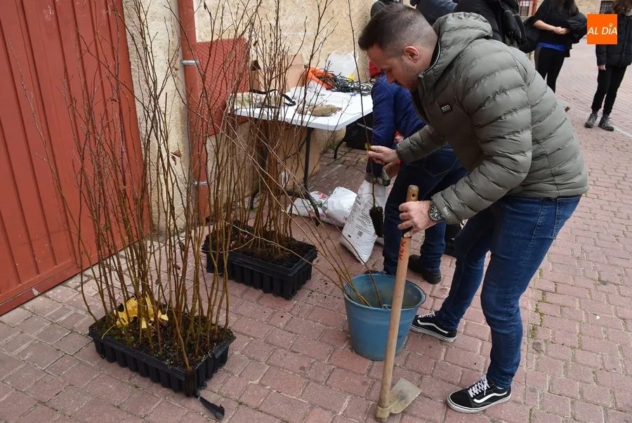 Foto 6 - Asenavis repobla las riberas del &Aacute;gueda con 90 ejemplares de su &aacute;rbol m&aacute;s caracter&iacute;stico