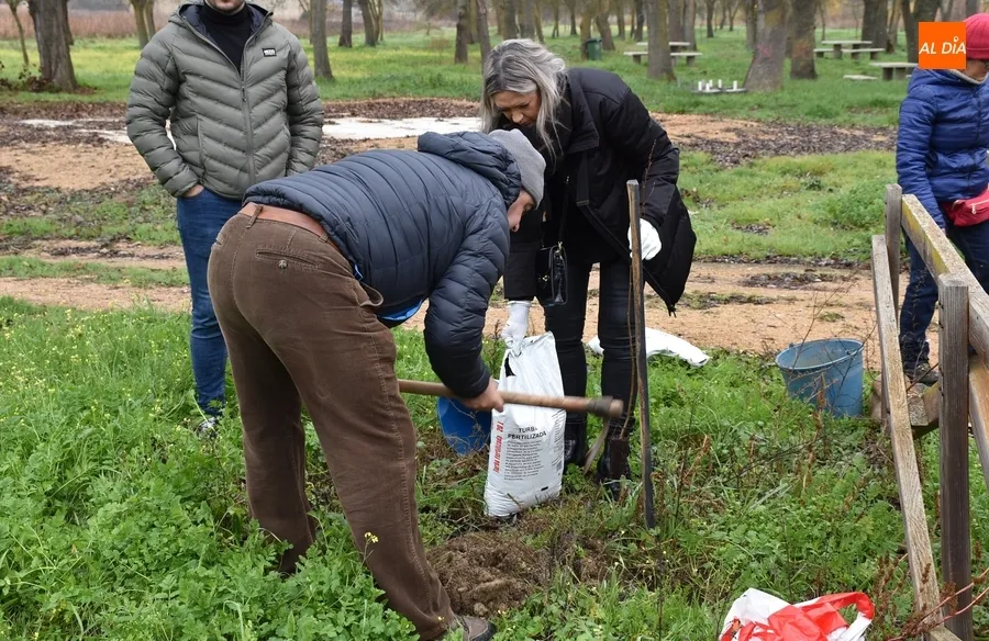 Foto 8 - Asenavis repobla las riberas del &Aacute;gueda con 90 ejemplares de su &aacute;rbol m&aacute;s caracter&iacute;stico