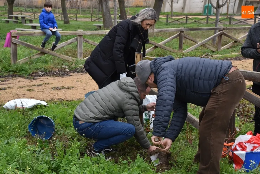 Foto 11 - Asenavis repobla las riberas del &Aacute;gueda con 90 ejemplares de su &aacute;rbol m&aacute;s caracter&iacute;stico