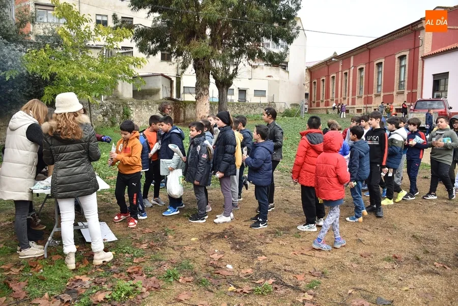 Foto 11 - Divertida casta&ntilde;ada en el Colegio San Francisco con la implicaci&oacute;n de su AMPA