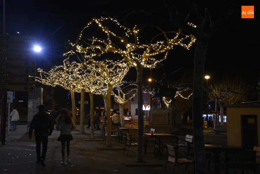 Foto 2 - El incremento de la iluminaci&oacute;n de la Avenida de Salamanca, entre las novedades en el alumbrado