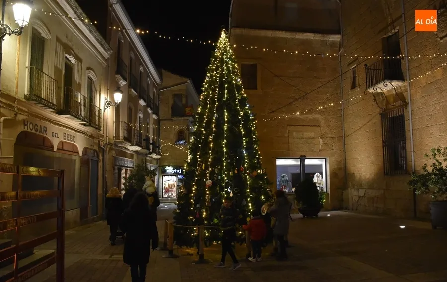Foto 3 - El incremento de la iluminaci&oacute;n de la Avenida de Salamanca, entre las novedades en el alumbrado