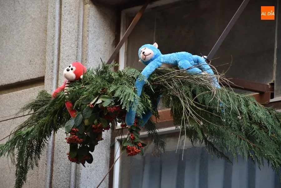 Foto 5 - La calle Gigantes debuta en el Concurso de Decoraci&oacute;n Navide&ntilde;a con un &lsquo;bosque encantado&rsquo;