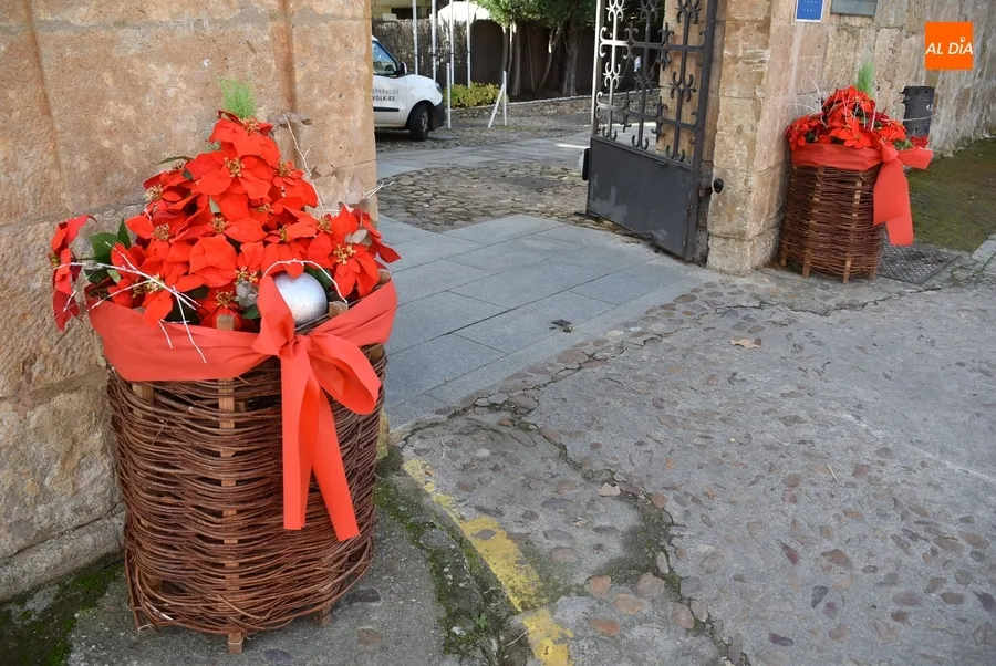 Foto 4 - Colocados cestos navide&ntilde;os junto al Parador y el Mercado de Abastos