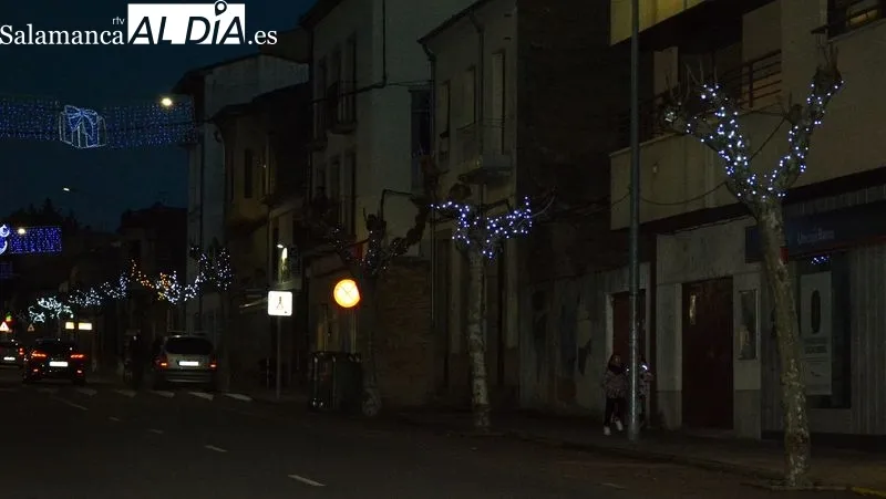 Las luces colocadas en los árboles iluminan la céntrica carretera Estación