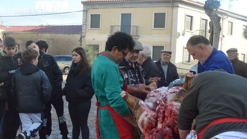 Foto 11 - La XXII Matanza T&iacute;pica del Cerdo de Hinojosa de Duero congrega a ni&ntilde;os y mayores