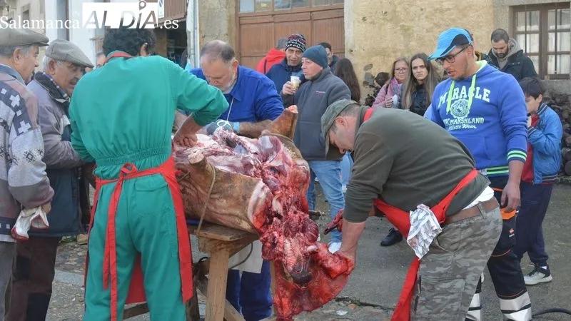 Foto 10 - La XXII Matanza T&iacute;pica del Cerdo de Hinojosa de Duero congrega a ni&ntilde;os y mayores