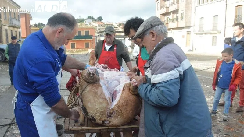 Foto 9 - La XXII Matanza T&iacute;pica del Cerdo de Hinojosa de Duero congrega a ni&ntilde;os y mayores