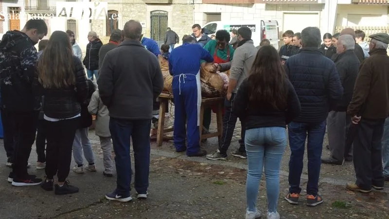 Foto 8 - La XXII Matanza T&iacute;pica del Cerdo de Hinojosa de Duero congrega a ni&ntilde;os y mayores