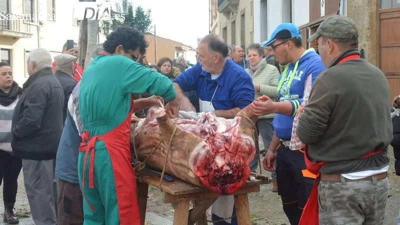 Foto 7 - La XXII Matanza T&iacute;pica del Cerdo de Hinojosa de Duero congrega a ni&ntilde;os y mayores