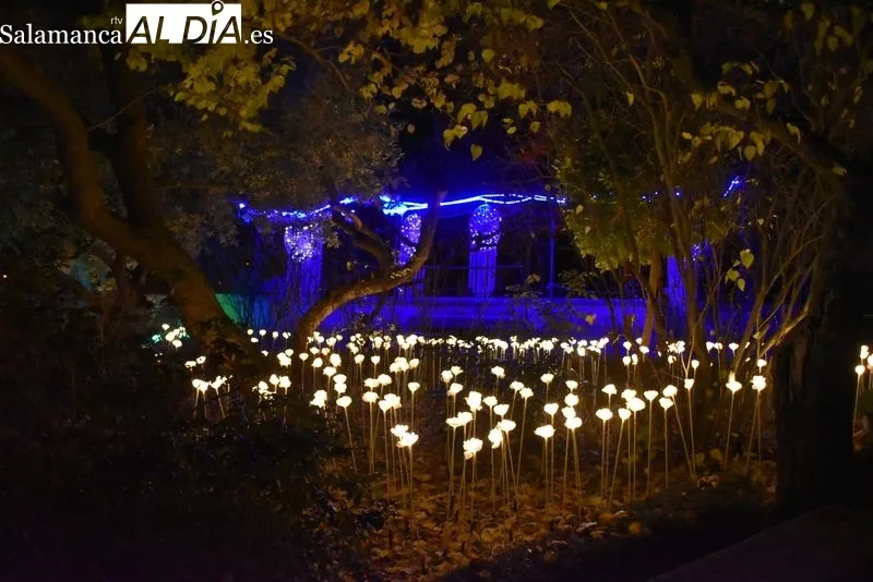 Iluminación en el Huerto de Calixto y Melibea. Fotos: Ángel Merino.