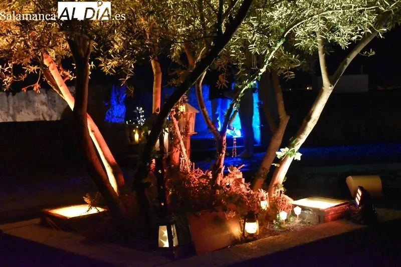 Iluminación en el Huerto de Calixto y Melibea. Fotos: Ángel Merino.