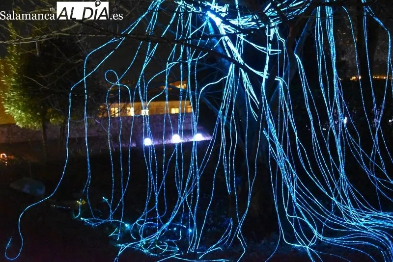 Iluminación en el Huerto de Calixto y Melibea. Fotos: Ángel Merino.