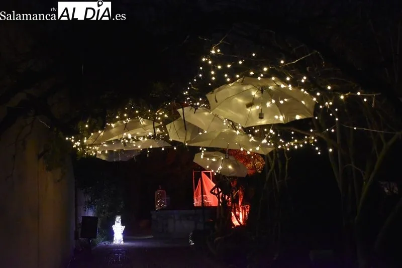 Iluminación en el Huerto de Calixto y Melibea. Fotos: Ángel Merino.