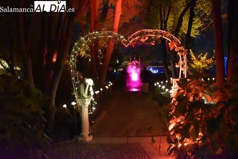 Iluminación en el Huerto de Calixto y Melibea. Fotos: Ángel Merino.