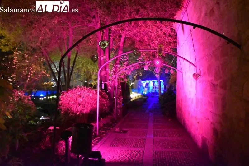 Iluminación en el Huerto de Calixto y Melibea. Fotos: Ángel Merino.