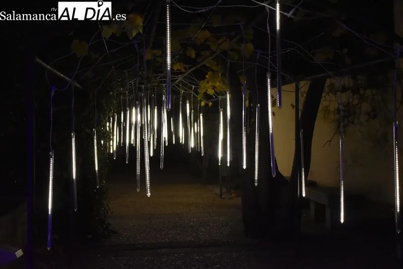 Iluminación en el Huerto de Calixto y Melibea. Fotos: Ángel Merino.