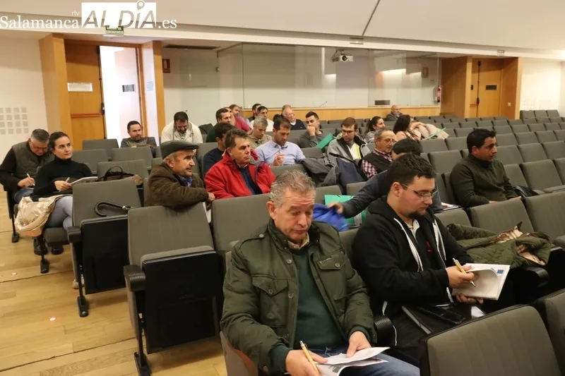Jornada técnica sobre el bovino en España promovida por Asaja en Vitigudino