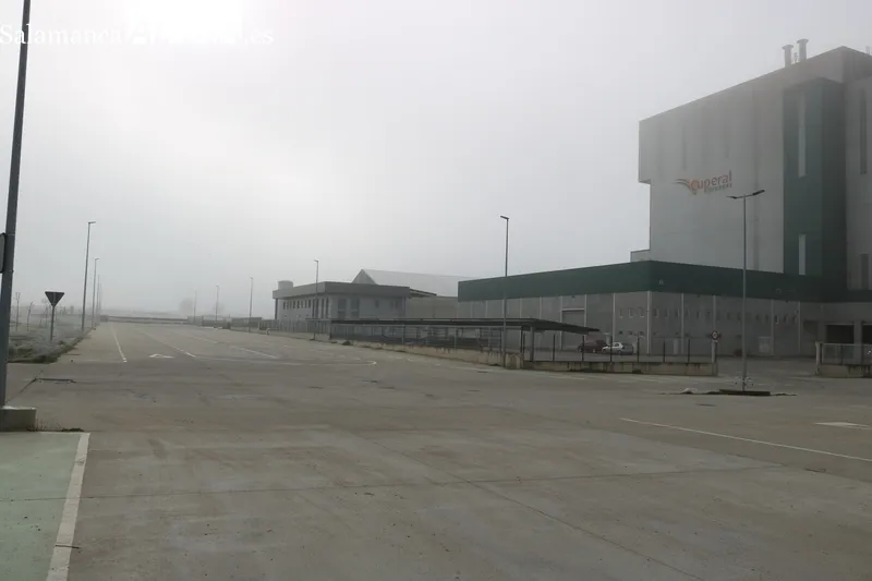 El polígono agroalimentario de Vitigudino dispone de 24 parcelas para el asentamiento de empresas / CORRAL